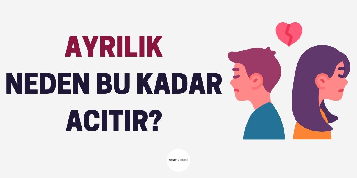 Ayrılık Neden Bu Kadar Acıtır?