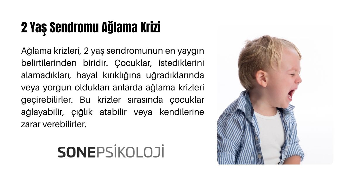2 yaş sendromu ağlama krizinde neler yapılmalı