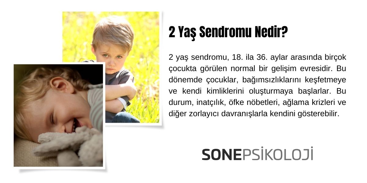 2 Yaş Sendromu (Baş Etmenin 10 Etkili Yolu)