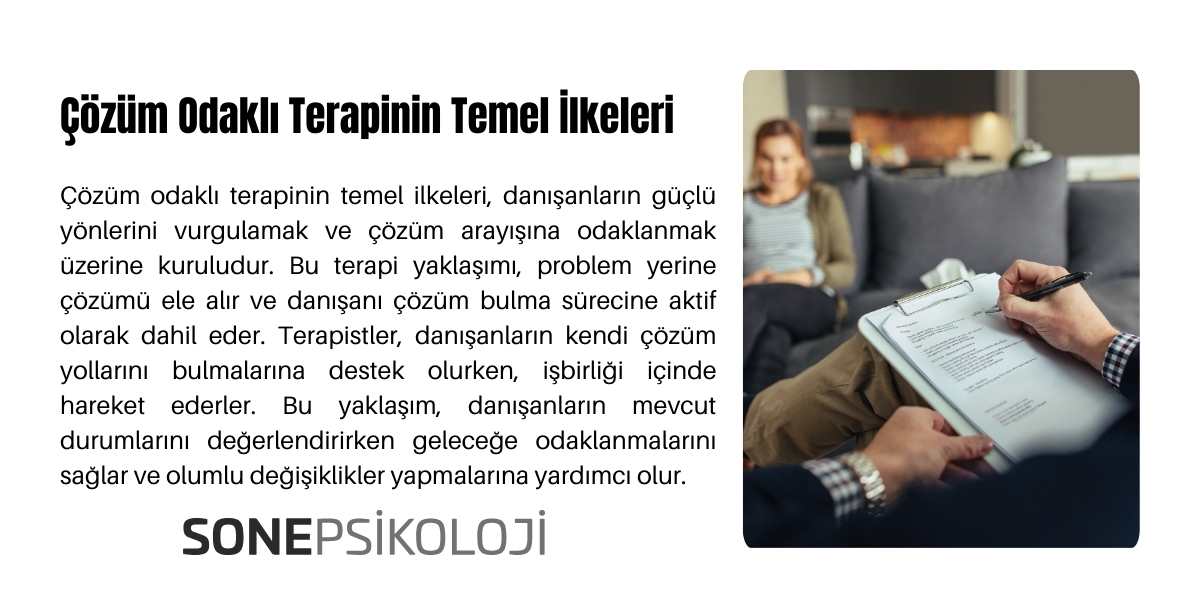 Çözüm odaklı kısa süreli terapinin temel ilkeleri