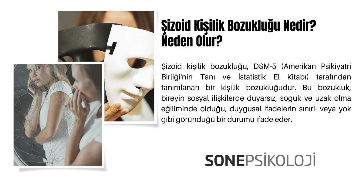 Şizoid Kişilik Bozukluğu Nedir? Neden Olur?