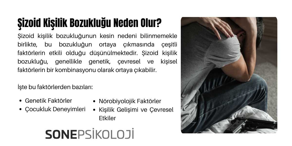 Şizoid kişilik bozukluğu nedir