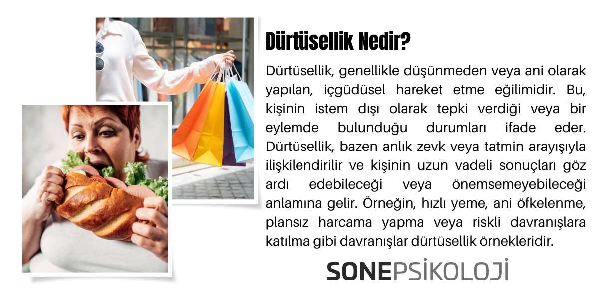 Dürtüsellik Nedir? (Dürtü Kontrol Bozukluğu)