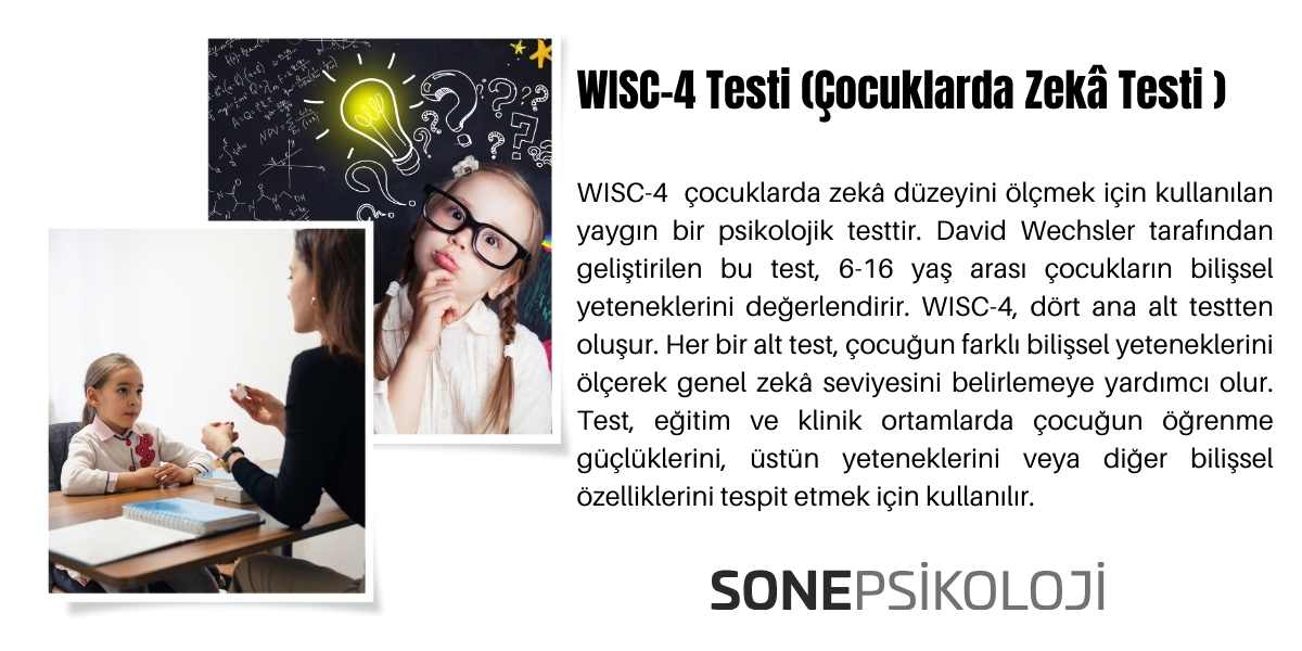 WISC-4 Testi (Çocuklarda Zekâ Testi )