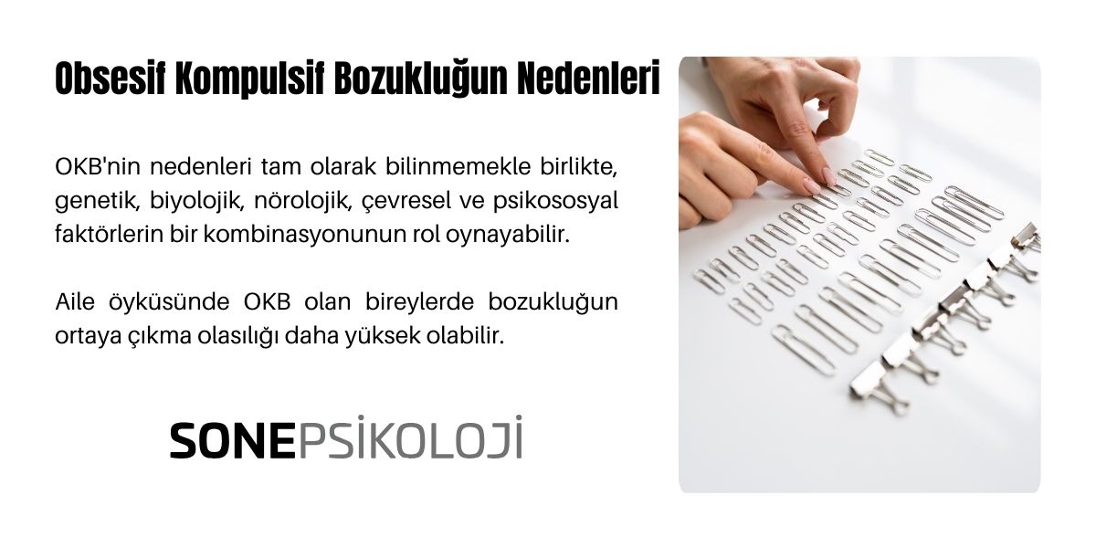 Obsesif Kompulsif Bozukluk Nedenleri