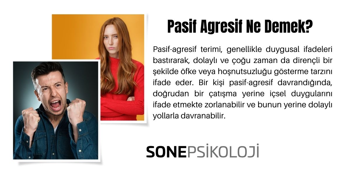Pasif Agresif Ne Demek?